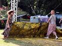 D-6829-IMG_6792-4a aa
